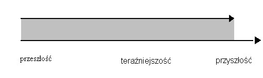 czas present perfect continuous
